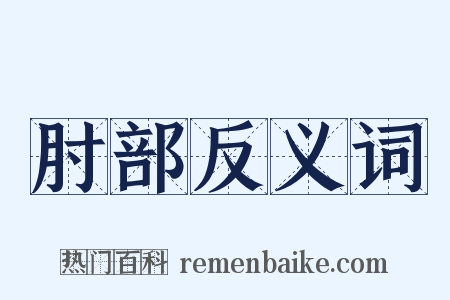 肘部反义词是什么意思的图片